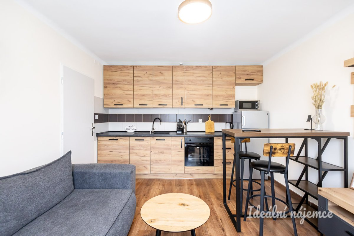 Pronájem bytu 1+1, Křivoklátská, Letňany, 16.900Kč/měs, 33 m2