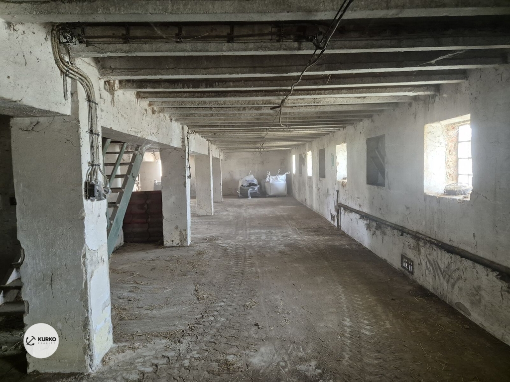 20240831-091519-1.jpg