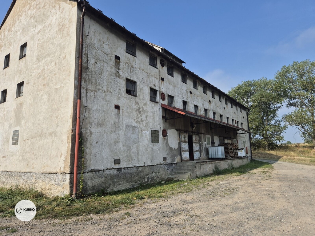 20240831-091553-1.jpg