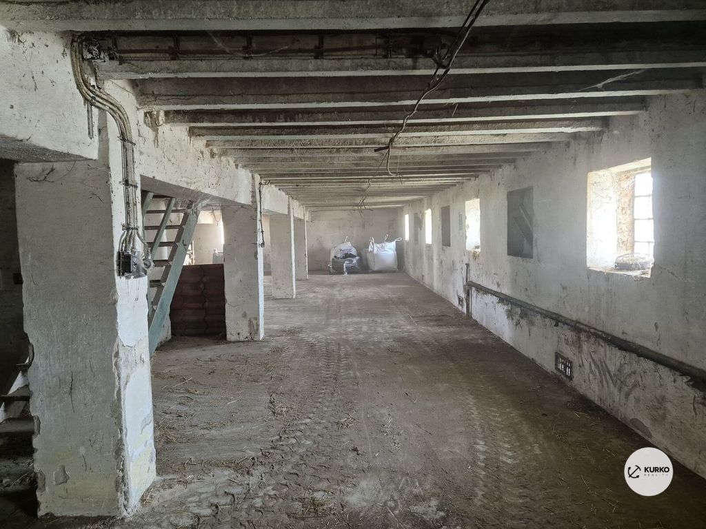 20240831-091519-1.jpg