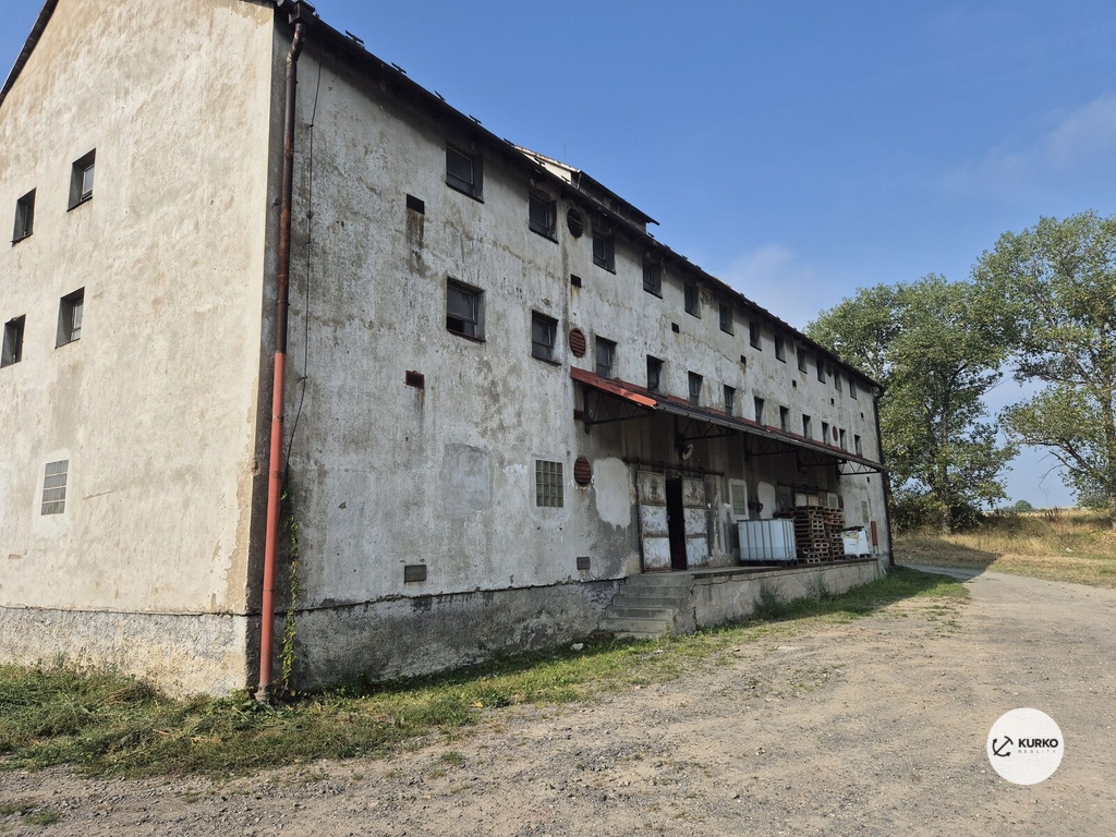 20240831-091553-1.jpg