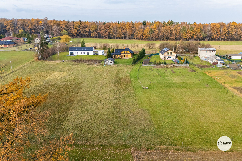 dji-20241126114515-0169-d.jpg