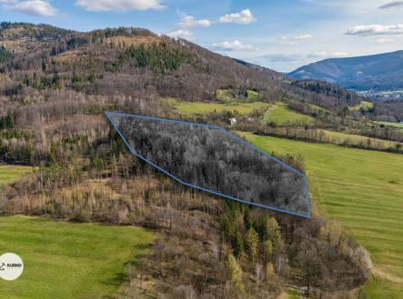 dji-20240731074617-0121-d.jpg | Prodej - pozemek, les, 20 736 m²