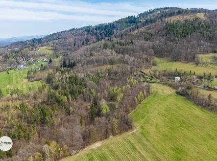 dji-20240803052602-0124-d.jpg | Prodej - pozemek, les, 20 736 m²