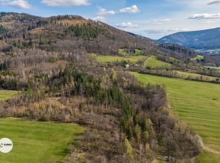 dji-20240731074617-0121-d-1.jpg | Prodej - pozemek, les, 20 736 m²