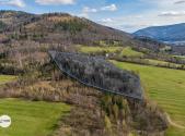 Prodej - pozemek, les, 20 736 m²
