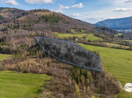 dji-20240731074617-0121-d.jpg | Prodej - pozemek, les, 20 736 m²