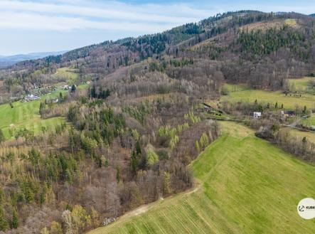 dji-20240803052602-0124-d.jpg | Prodej - pozemek, les, 20 736 m²