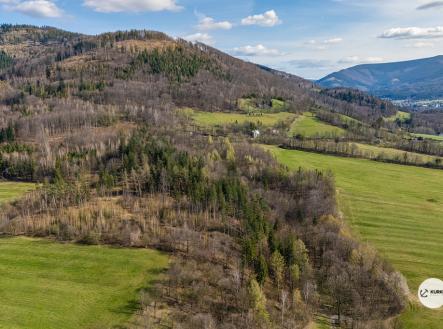 dji-20240731074617-0121-d-1.jpg | Prodej - pozemek, les, 20 736 m²