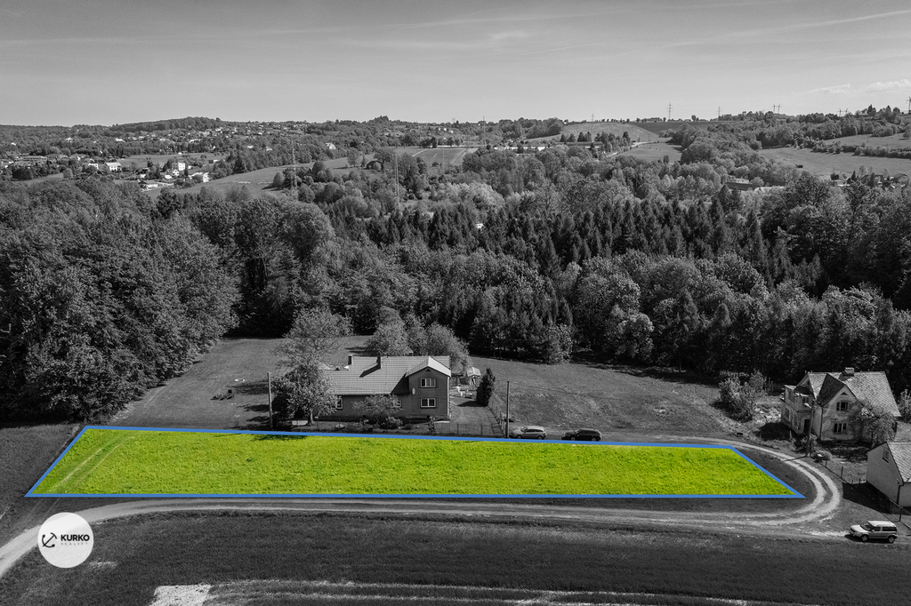 dji-20240822021402-0146-d1.jpg