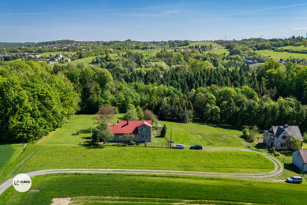 dji-20240822021402-0146-d.jpg