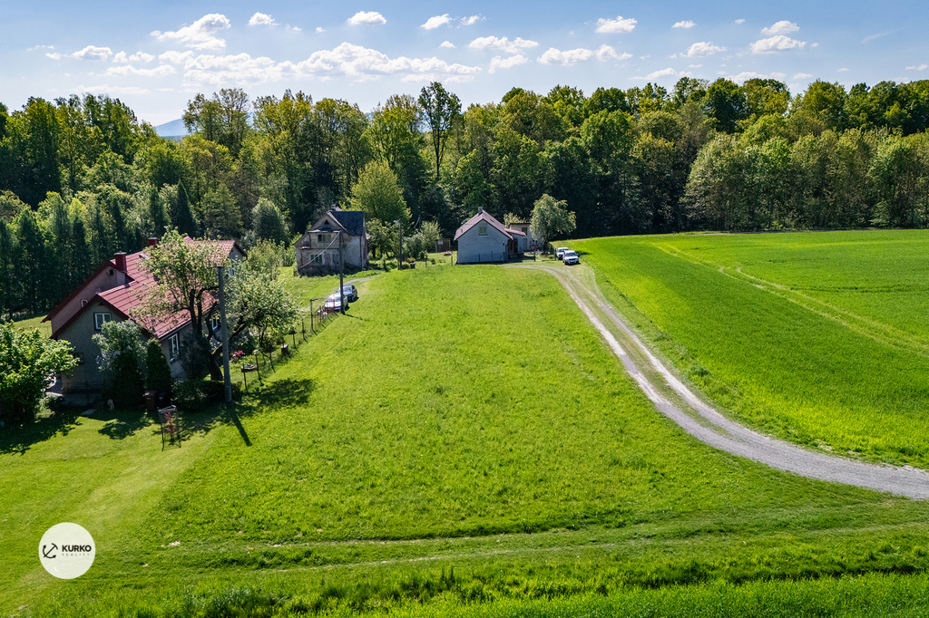 dji-20240822021308-0142-d.jpg