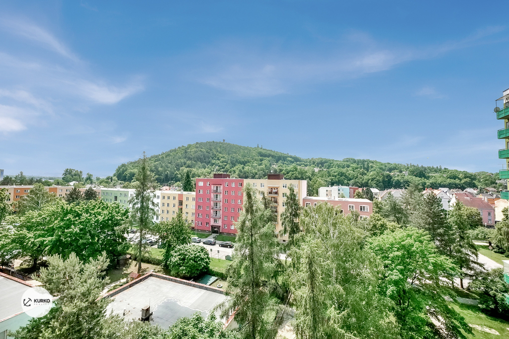 p1621050-1.jpg