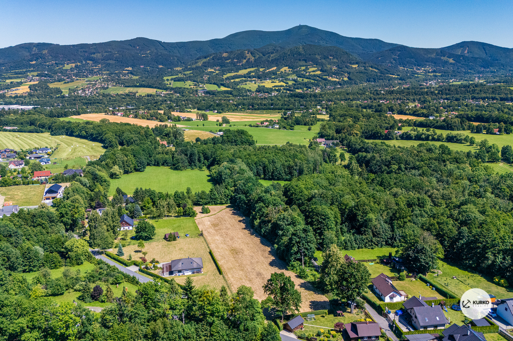 dji-20241022064557-0093-d.jpg