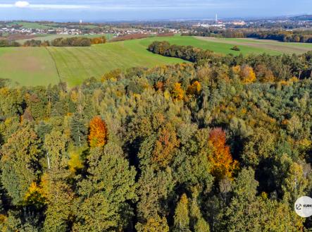 dji-0038.jpg | Prodej - pozemek, les, 29 217 m²