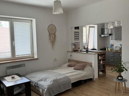 img-3820.jpeg | Pronájem bytu, 1+1, 33 m²