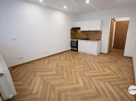 chatgpt-image-5.1.2026-11-51-04.png | Pronájem bytu, 1+kk, 29 m²