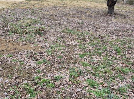 foto: 3 | Prodej - pozemek pro bydlení, 1 021 m²