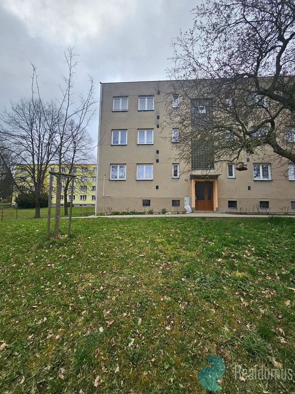 20250410-085517.jpg