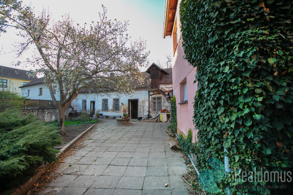 5d4-3182.jpg