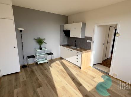 img-5276.jpeg | Pronájem bytu, 1+1, 49 m²
