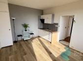 Pronájem bytu, 1+1, 49 m²