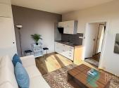 Prodej bytu, 1+1, 41 m²