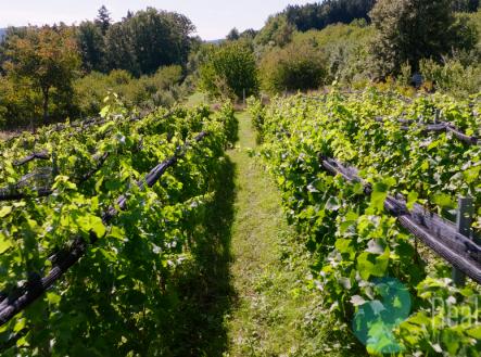 c9853.00-06-42-16.still005.jpg | Prodej - pozemek, ostatní, 3 239 m²