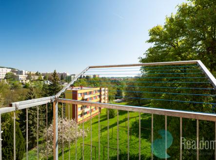 dsc06321.jpg | Pronájem bytu, 2+1, 56 m²