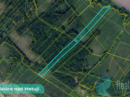 bohuslavice-nad-metuji-6.jpg | Prodej - pozemek, ostatní, 43 749 m²