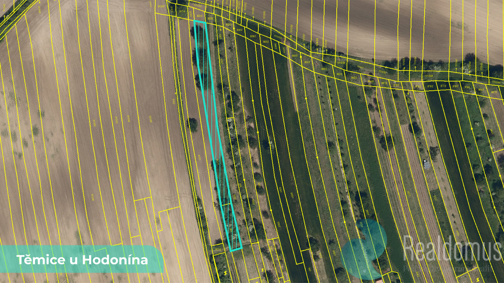 temice-u-hodonina-1.jpg