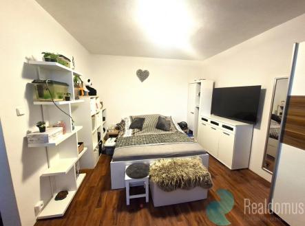 20251030-164954.jpg | Pronájem bytu, 1+1, 42 m²