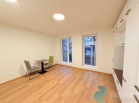 img-3890.jpeg | Pronájem bytu, 1+kk, 31 m²