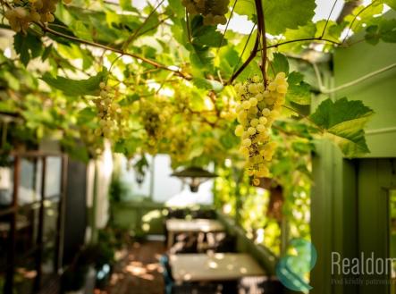 roubenka-46.jpg | Pronájem - restaurace, 320 m²