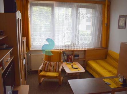 weeqweqwe.jpg | Pronájem bytu, 1+kk, 20 m²