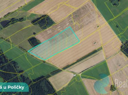 jedlova-u-policky-2.png | Prodej - pozemek, zemědělská půda, 2 196 m²