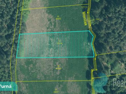 velka-turna-1.png | Prodej - pozemek, trvalý travní porost, 2 199 m²