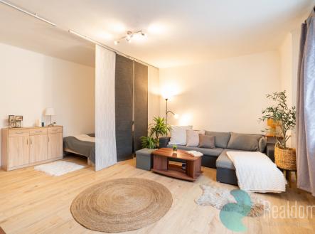 Prodej bytu, 1+1, 42 m²