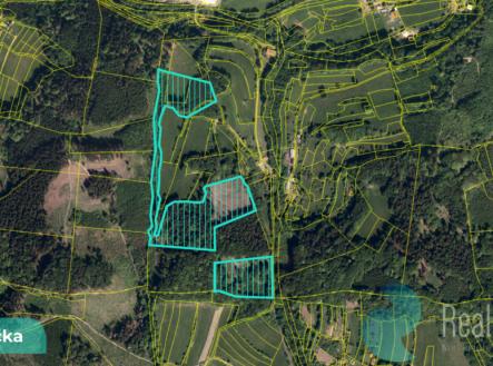 Prodej - pozemek, les, 16 784 m² obrázek