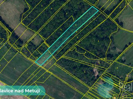 bohuslavice-nad-metuji-1.jpg | Prodej - pozemek, zemědělská půda, 43 749 m²