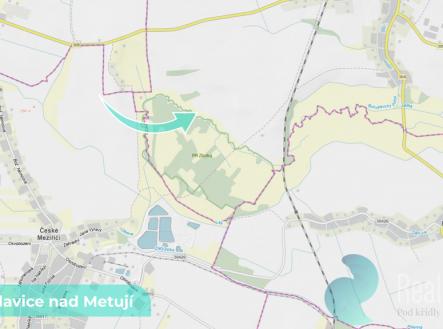 bohuslavice-nad-metuji-2.3.jpg | Prodej - pozemek, zemědělská půda, 43 749 m²