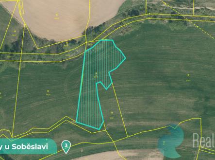 tucapy-u-sobeslavi-3.1.jpg | Prodej - pozemek, trvalý travní porost, 11 561 m²