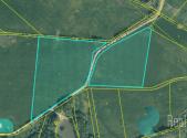 Prodej - pozemek, trvalý travní porost, 12 559 m²