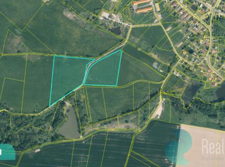 drmoul-2.png | Prodej - pozemek, trvalý travní porost, 12 559 m²