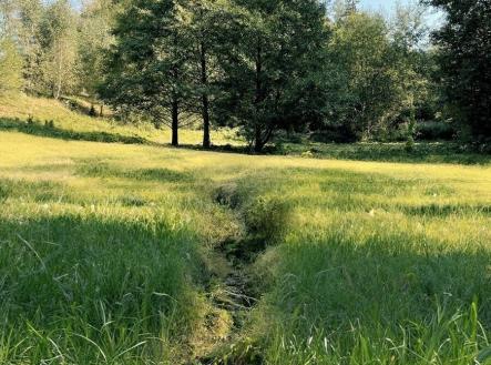 Prodej - pozemek, trvalý travní porost, 6 838 m² obrázek