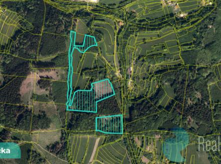 bystricka-1-1.png | Prodej - pozemek, les, 16 784 m²