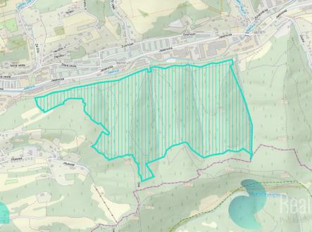 vsetin-1.jpg | Prodej - pozemek, les, 12 054 m²