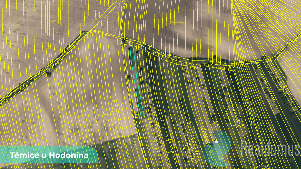 temice-u-hodonina-2.jpg