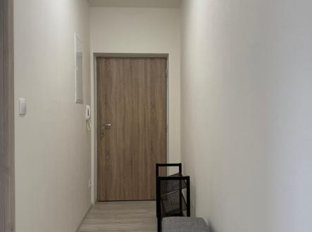 553f467f-165f-4565-9d82-1e67ffa28869.jpeg | Pronájem bytu, 2+kk, 49 m²