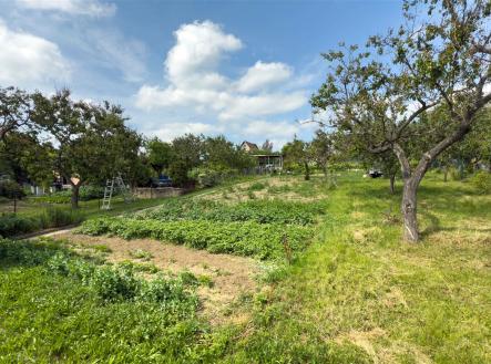 . | Prodej - pozemek, zahrada, 1 184 m²